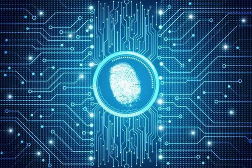 揭秘！關于人體的5個常見偽科學事實